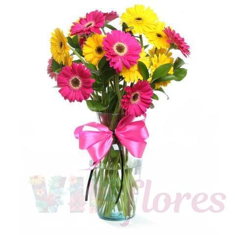 Arreglo de Gerberas Hola Baby